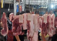 病害肉检测仪为消费吃上放心肉“保驾护航”